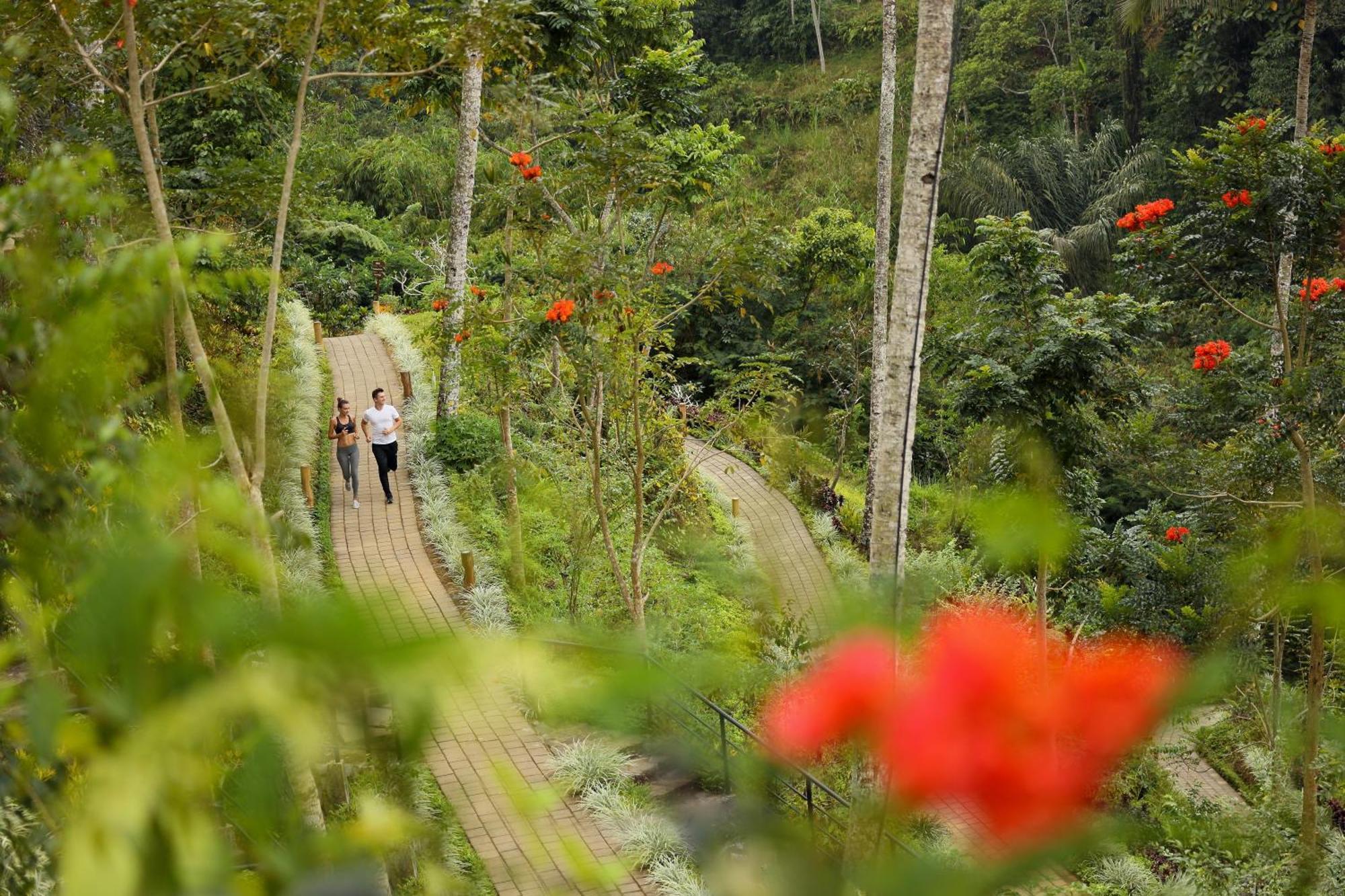 Padma Ubud Resort
