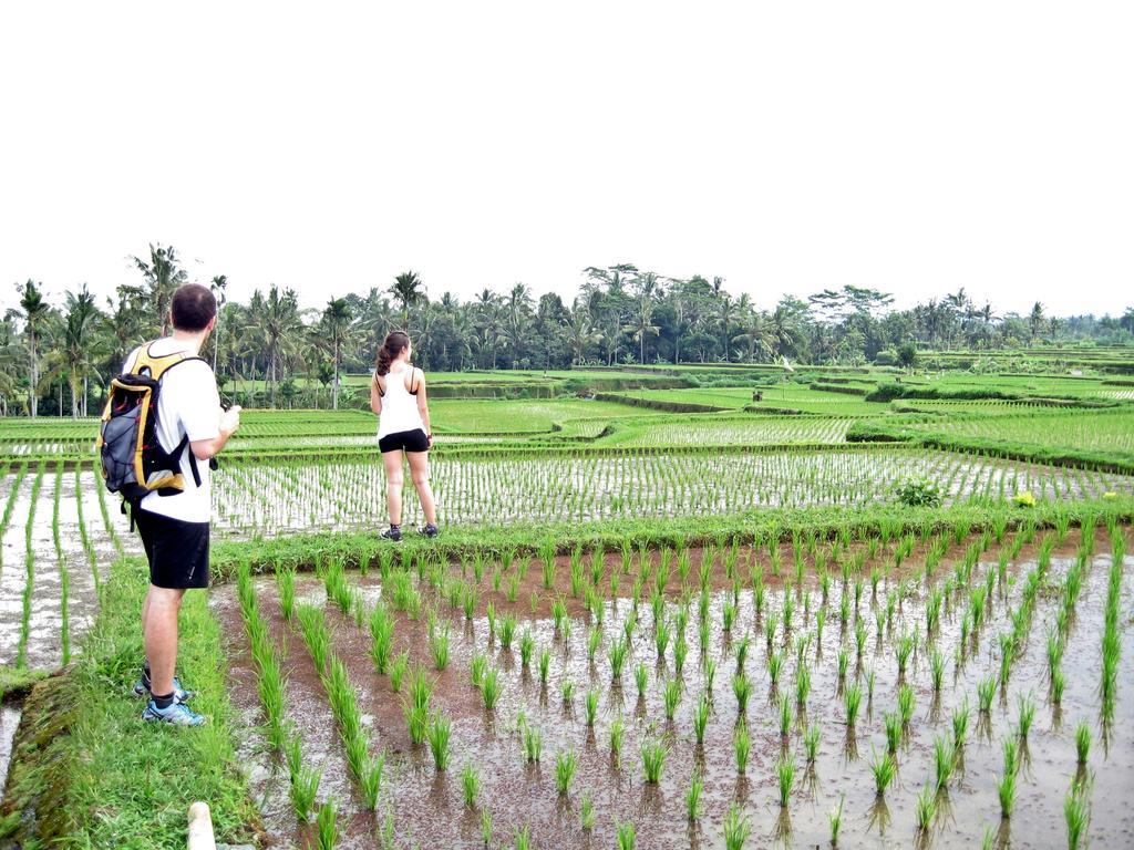 Uma Caming & Gym Guest house