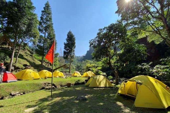 Wong Deso Luxury tent *