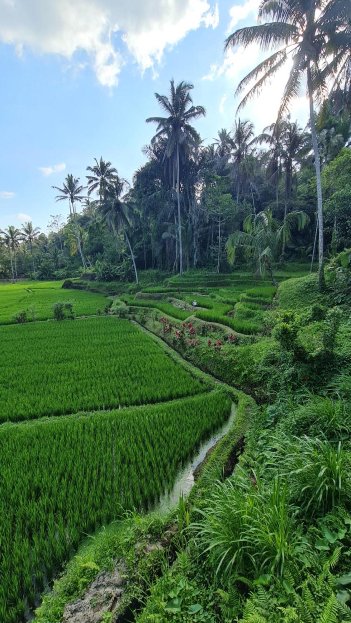 Tirta Sari Villa *