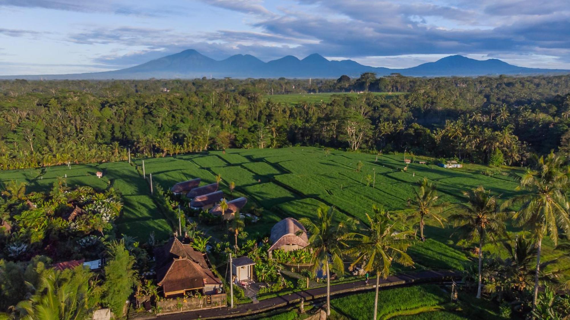 Ipian Cinta By Pramana * Ubud (Bali)