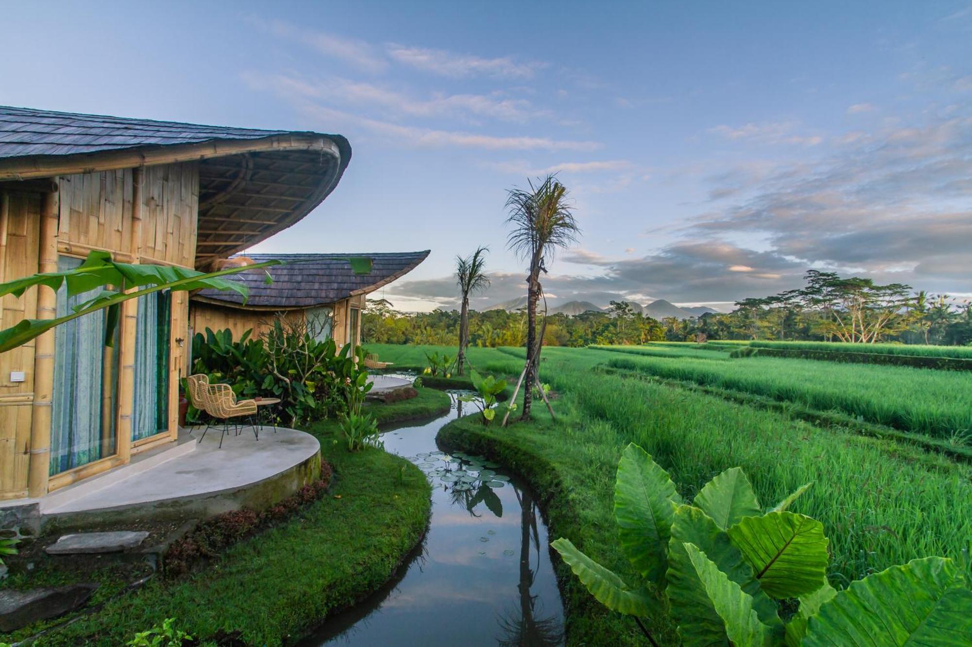 Ipian Cinta By Pramana Ubud (Bali)