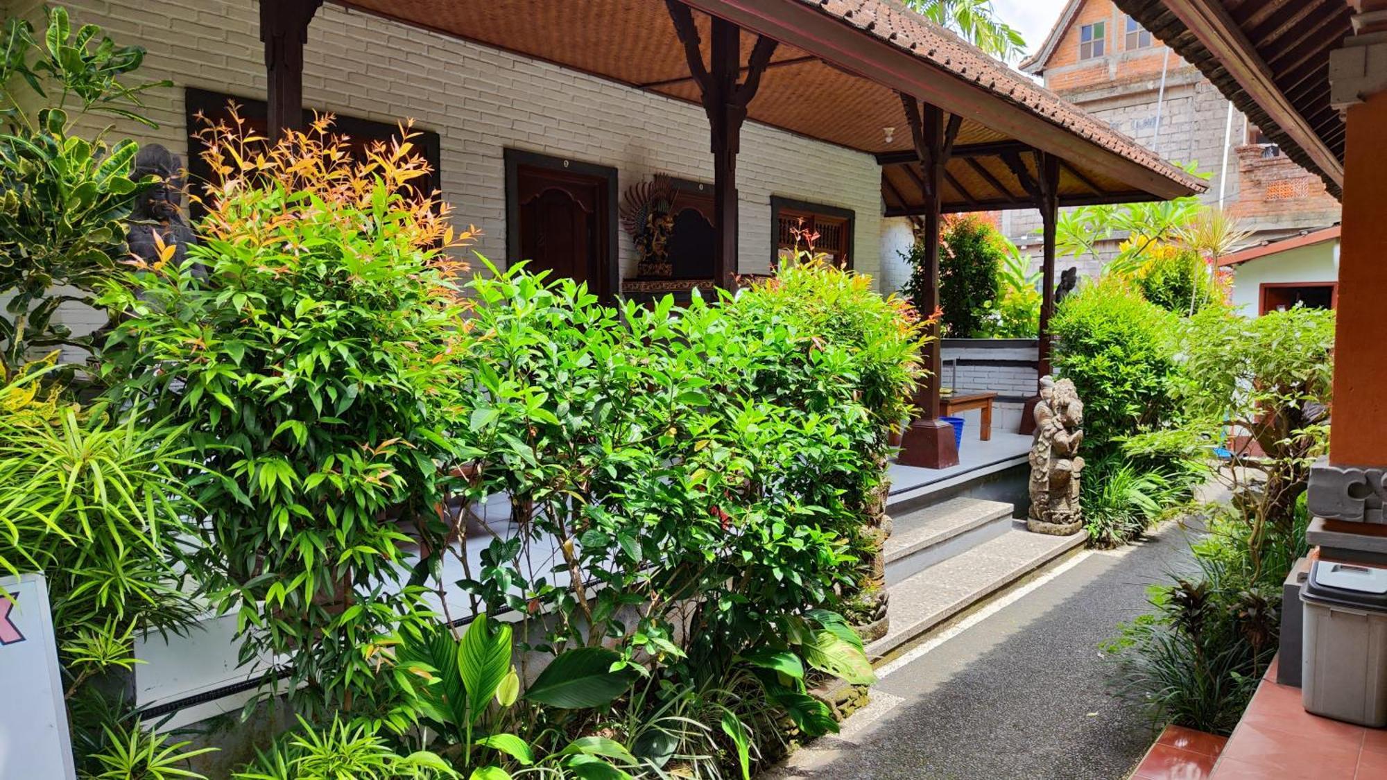 Swan Guest house