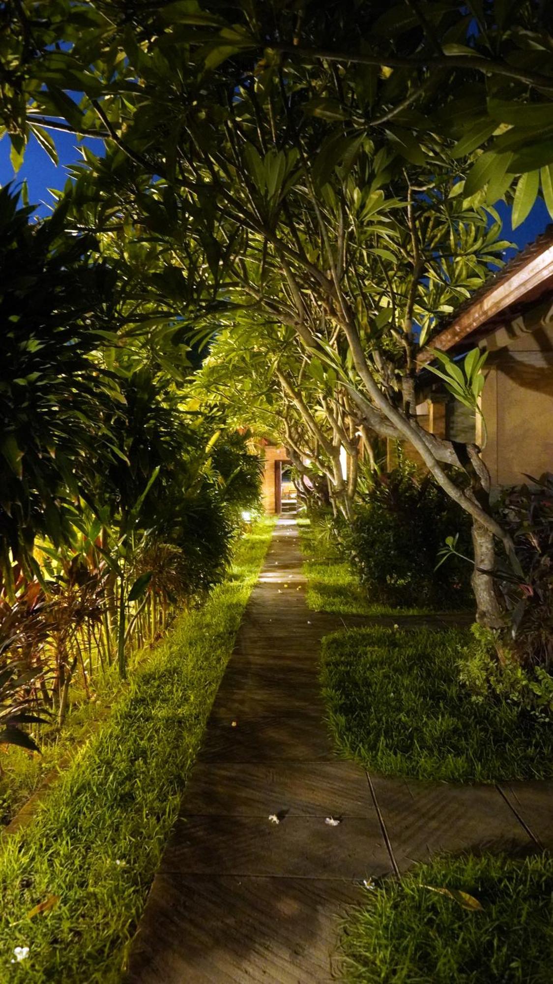 Oma In Bali Pemuteran (Bali)
