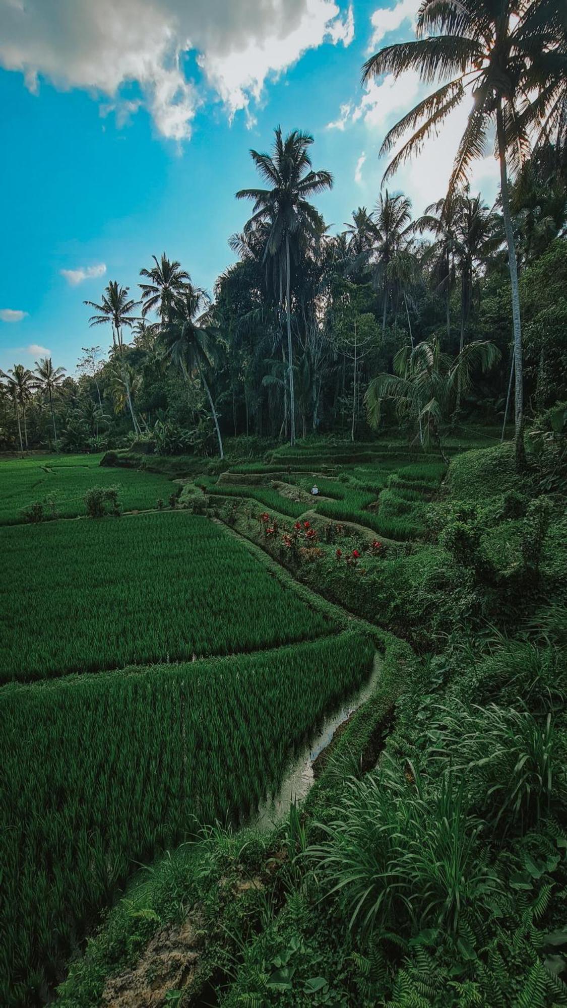 Tirta Sari *
