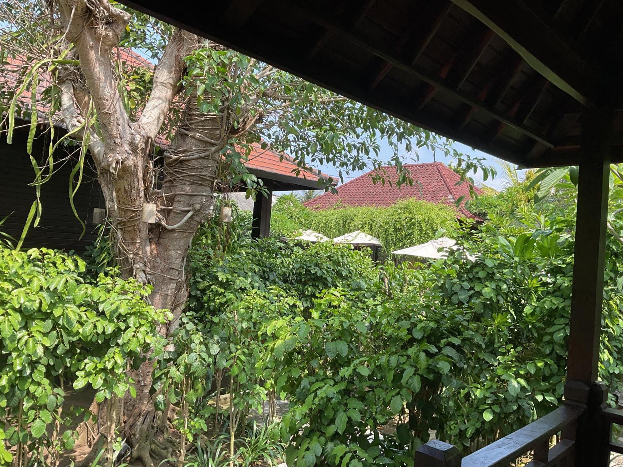 Homestay Bunutbali Villas88 Nusa Lembongan (Bali)