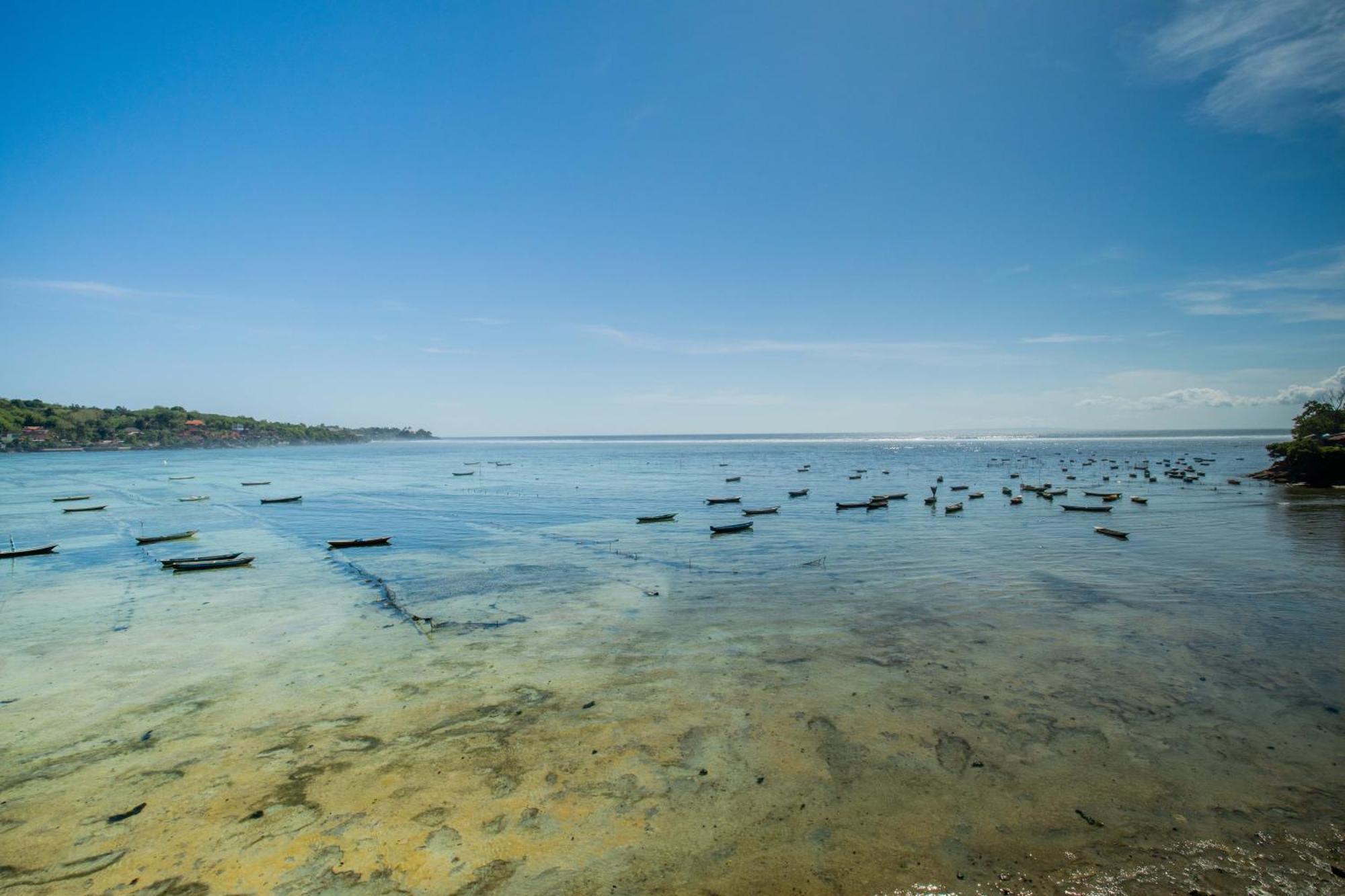 Tawe Ocean Blue Lembongan 2*