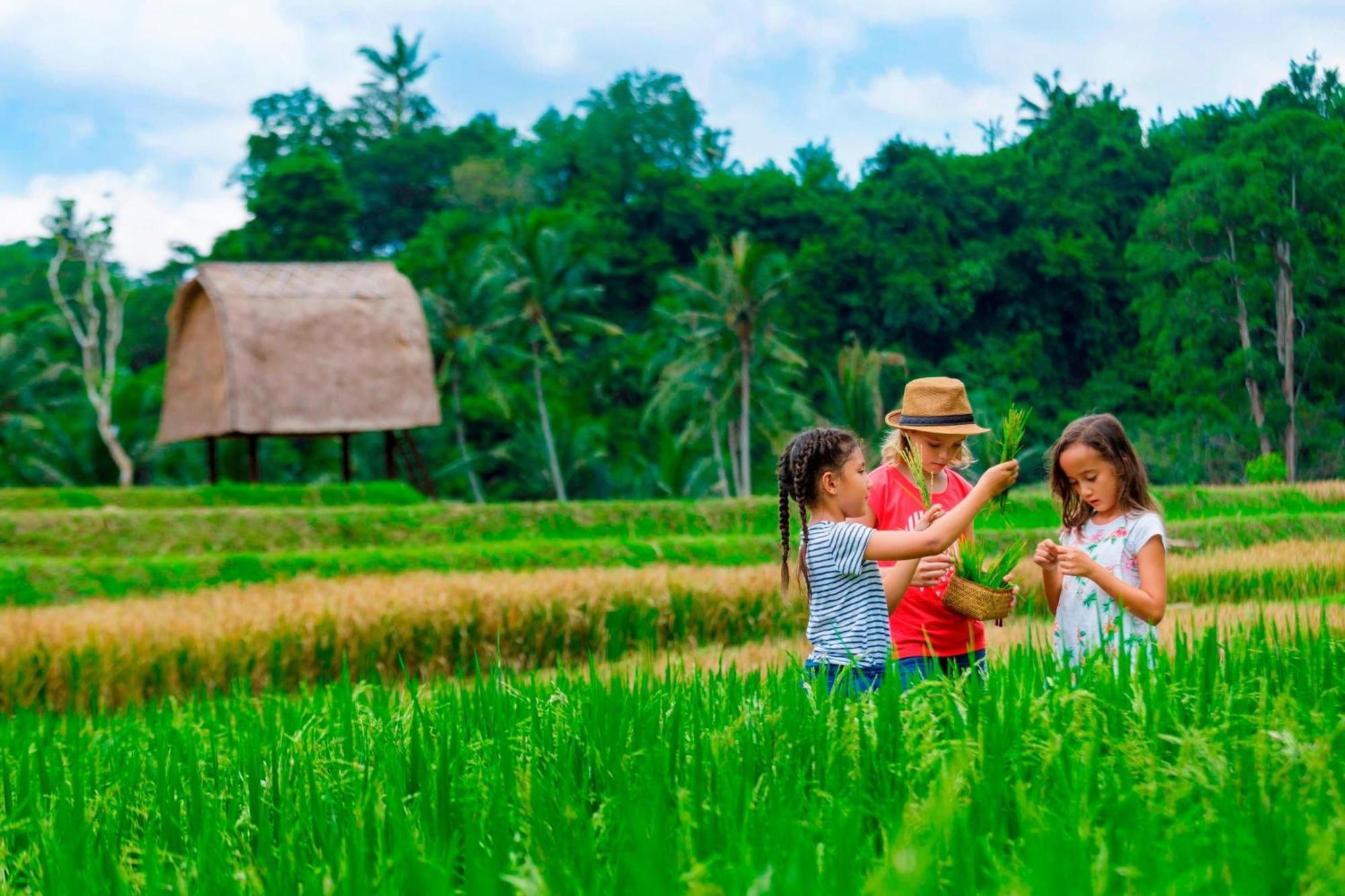 Resor Mandapa, A Ritz-carlton Reserve Ubud (Bali)