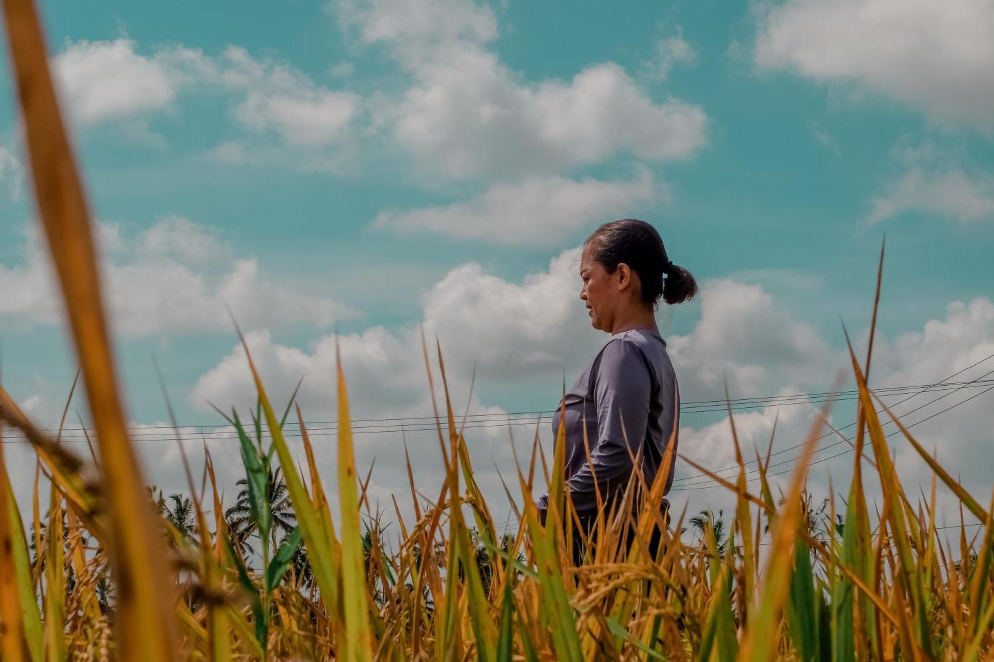 Cendrawasih Ubud * Tegallalang (Bali)