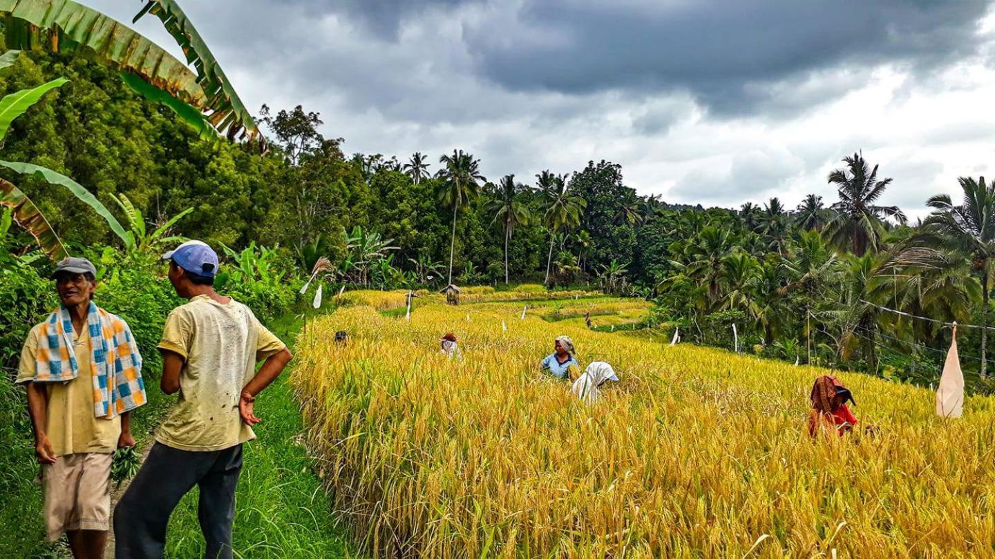 Sena Munduk (Bali)