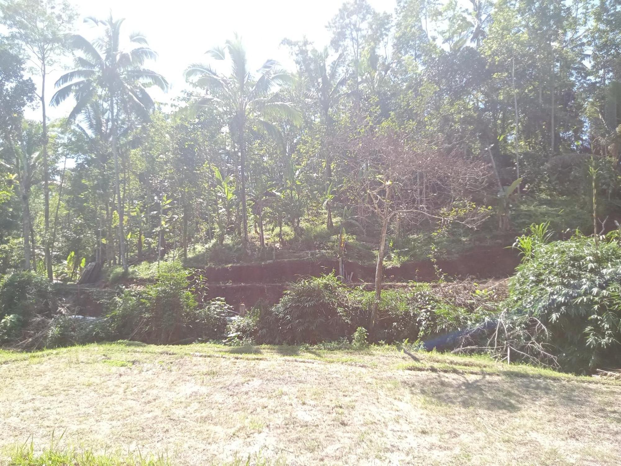 Duegoal Farm stay *