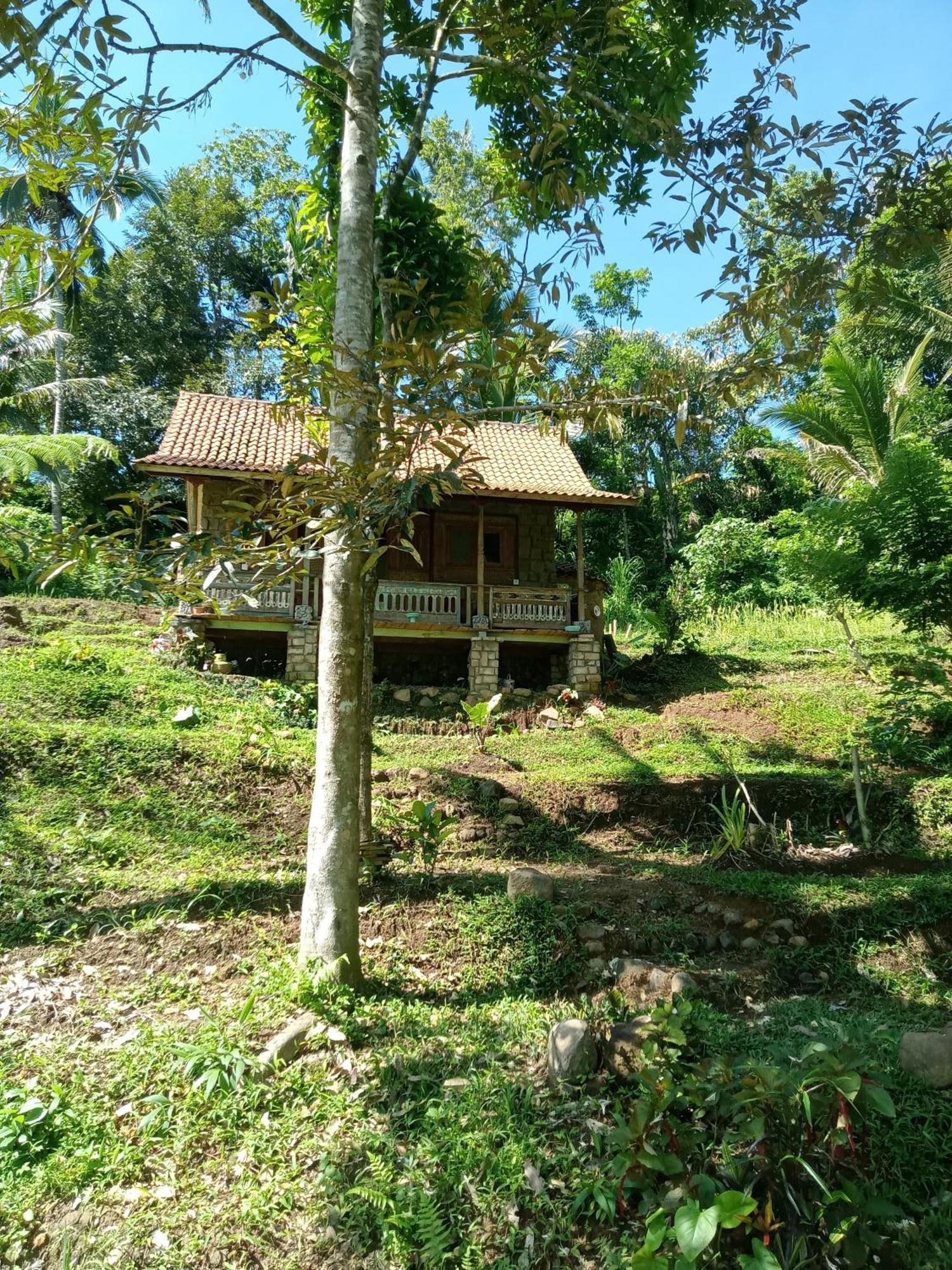 Duegoal Farm stay *