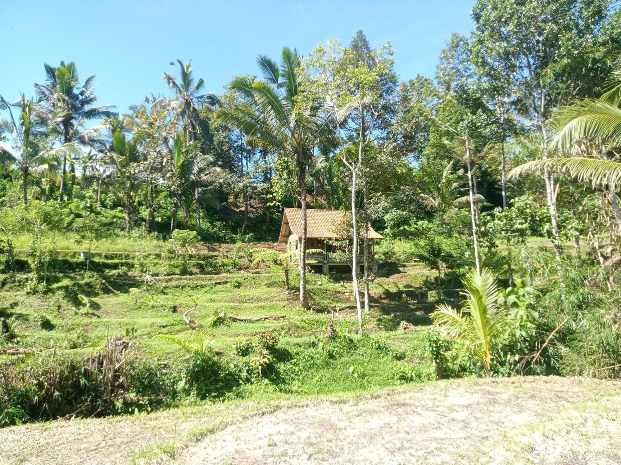 Farm stay Duegoal *