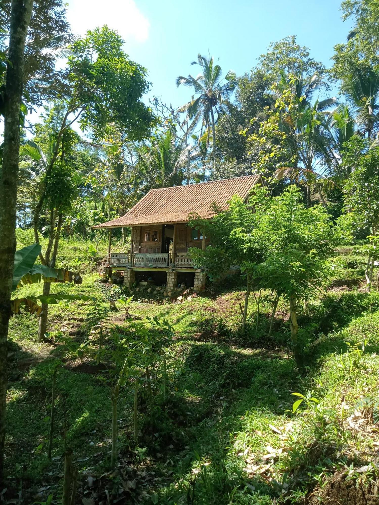 Farm stay Duegoal