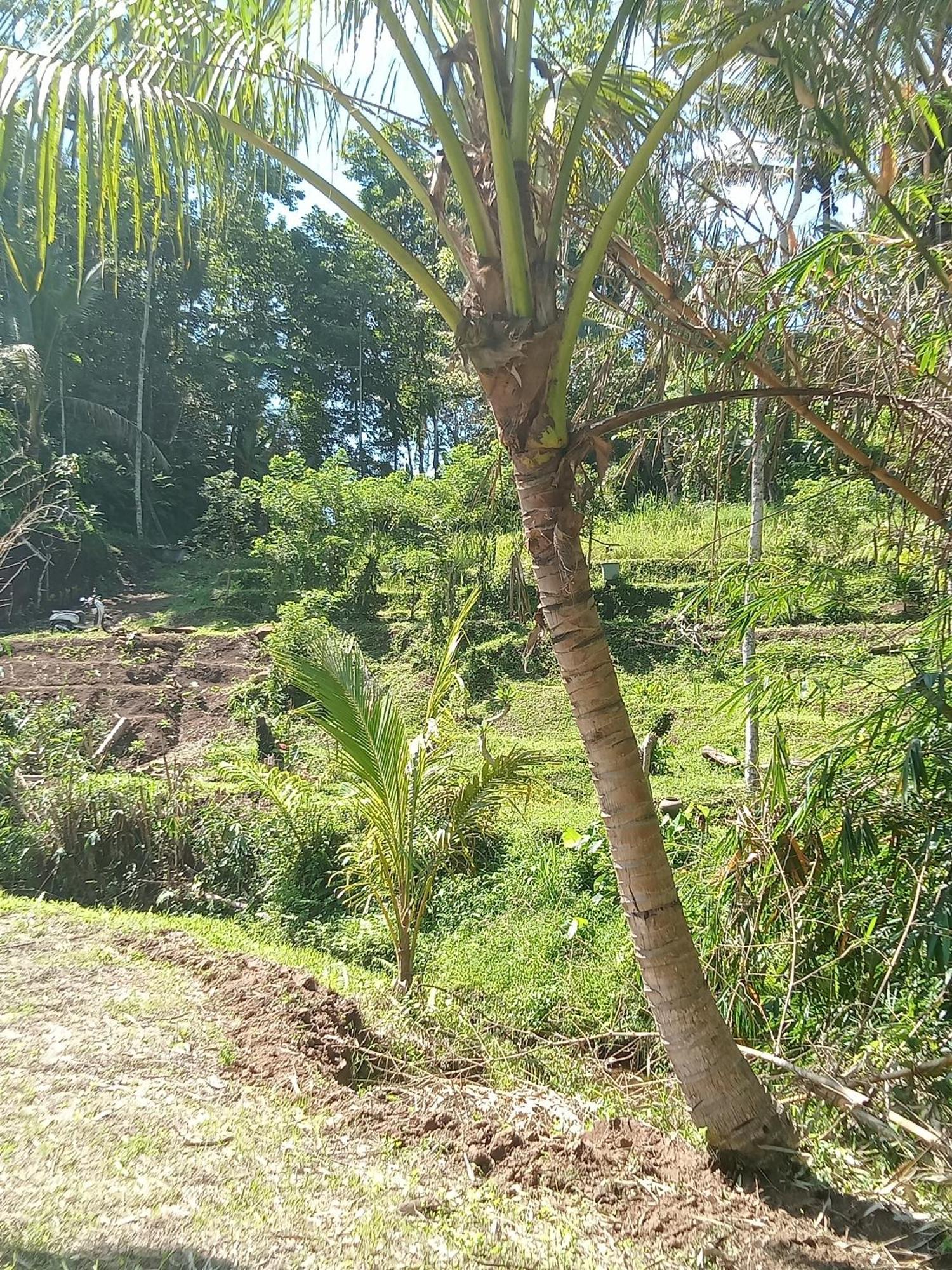 Farm stay Duegoal *
