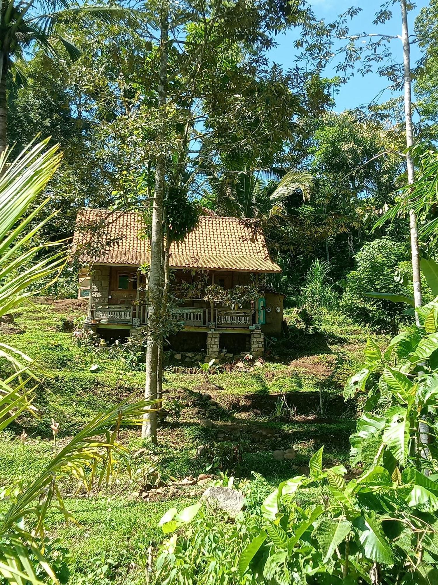 Duegoal Farm stay *