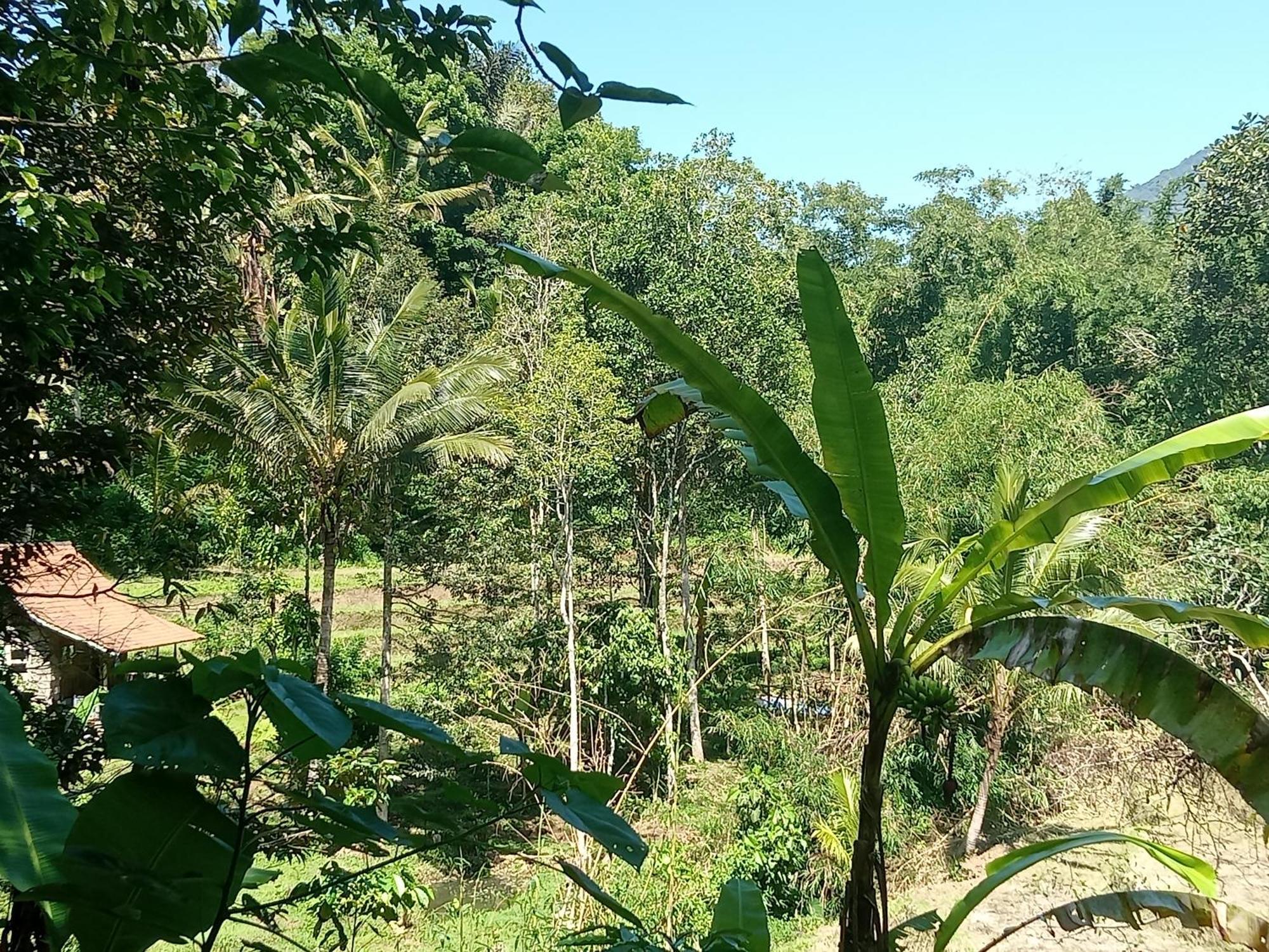Farm stay Duegoal