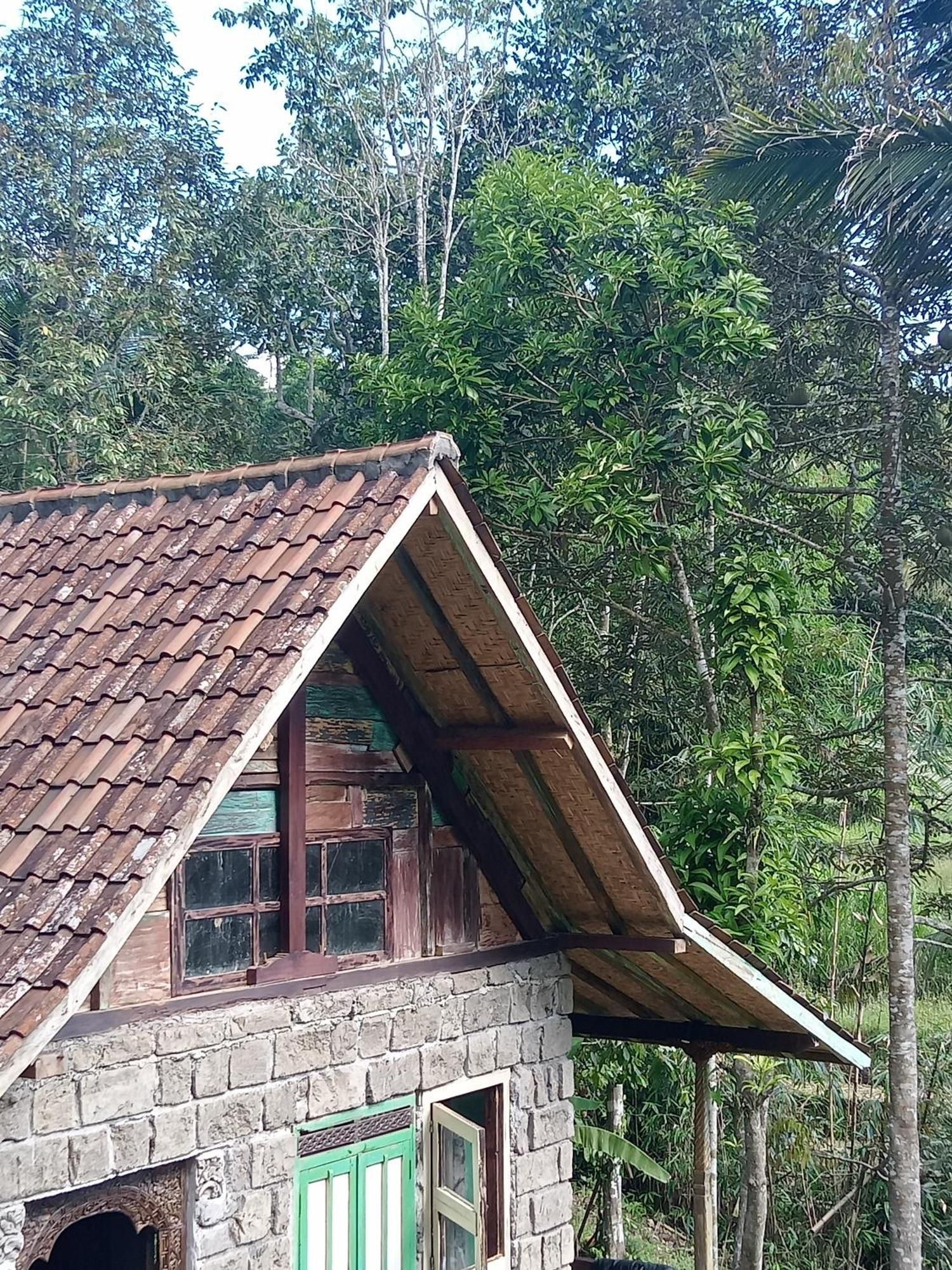 Duegoal Jatiluwih