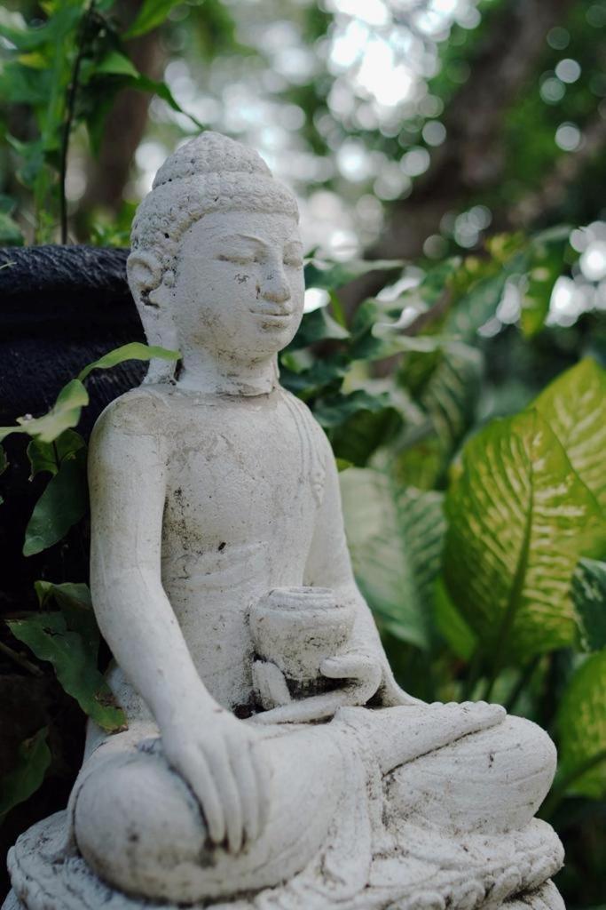 Sattva Yoga Retreat bahay-panuluyan