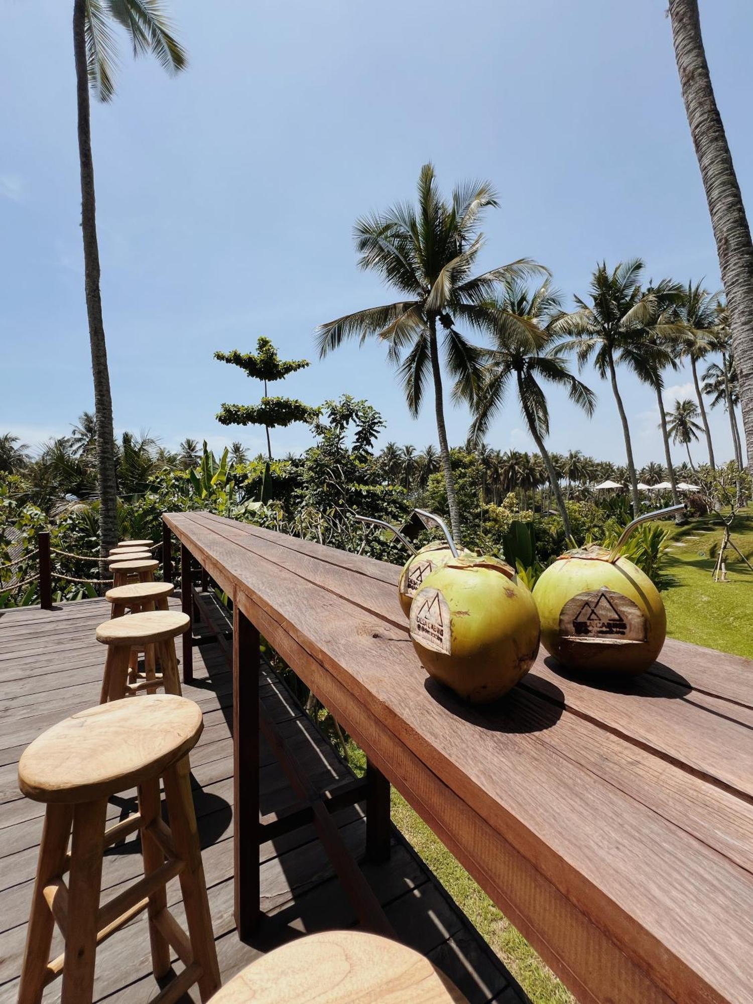 Hotel Desa Balian