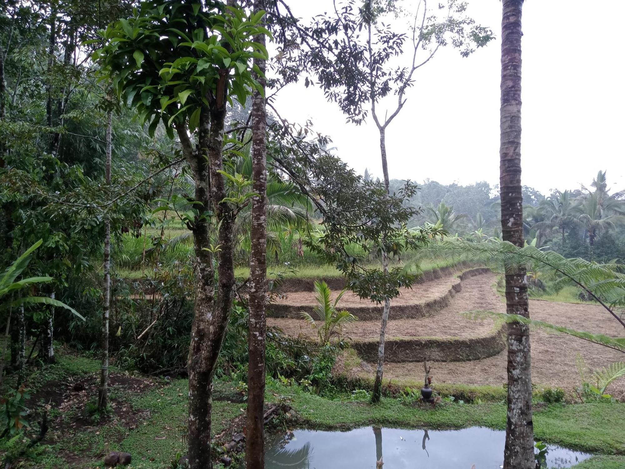 Farm stay Duegoal *