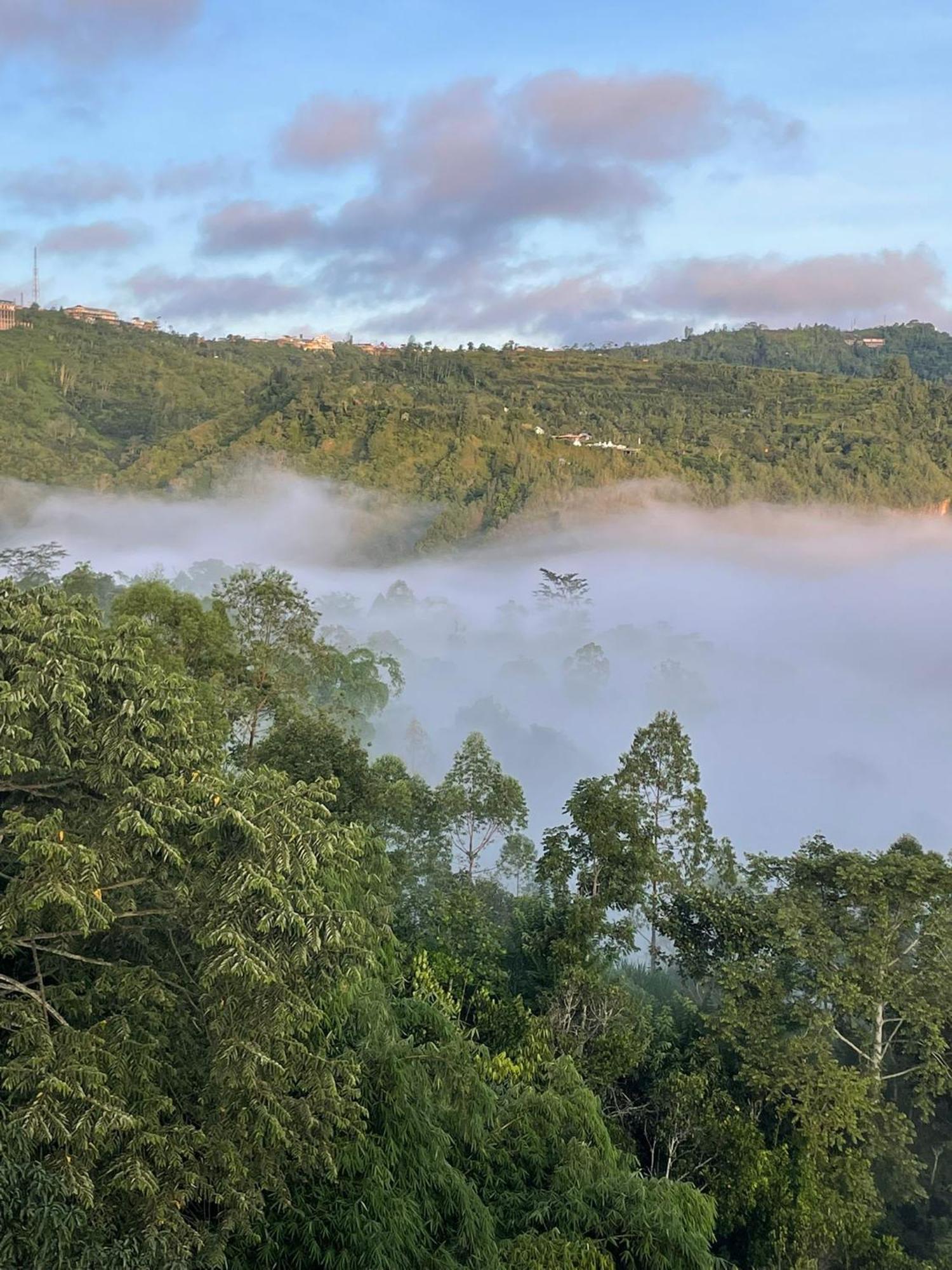 Wisma tamu Ayodya Batur