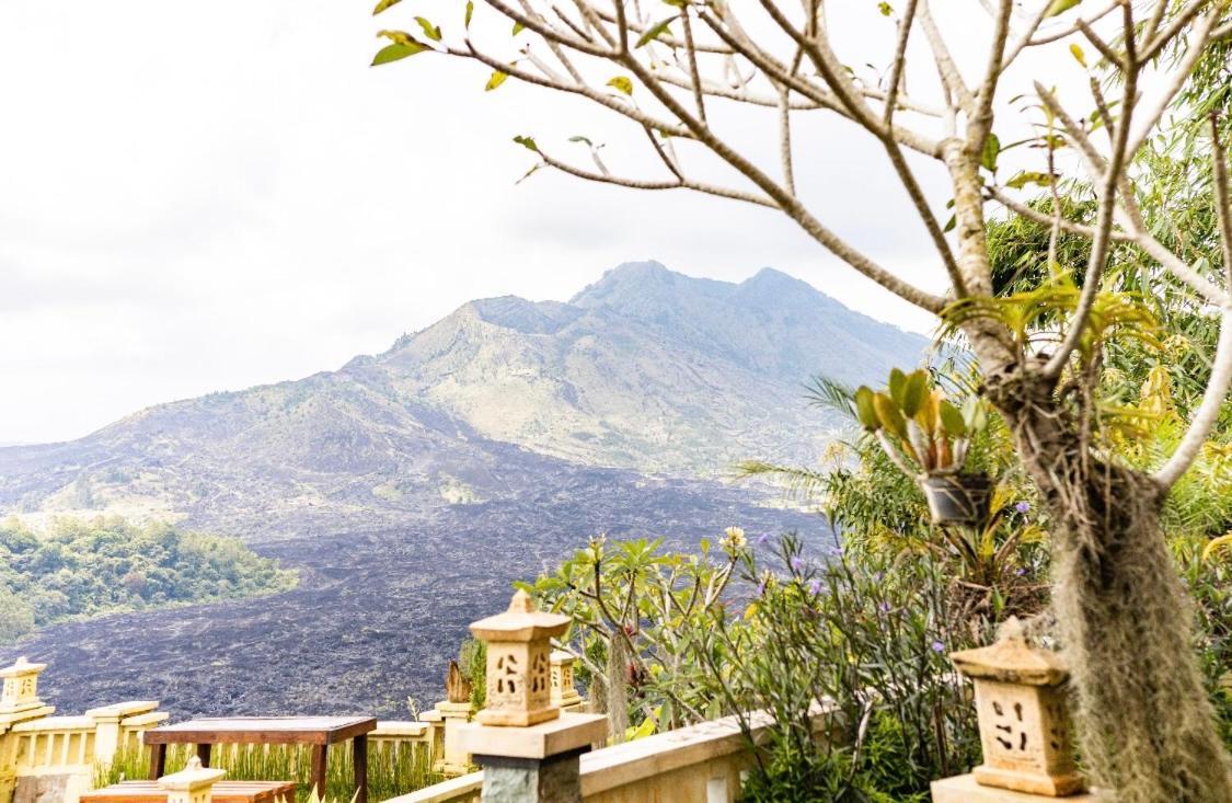 Wisma tamu Ayodya Batur Kintamani (Bali)