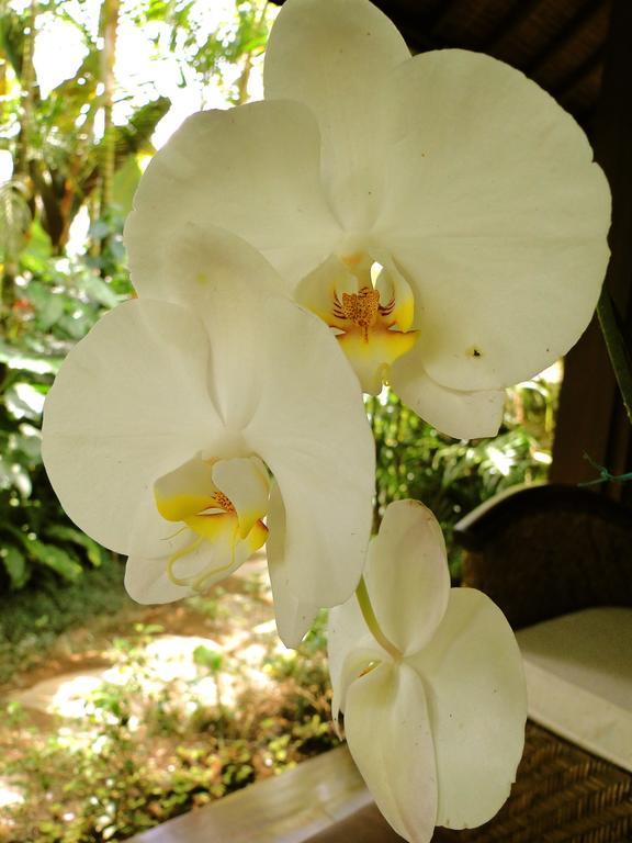 Heaven In Bali Homestay