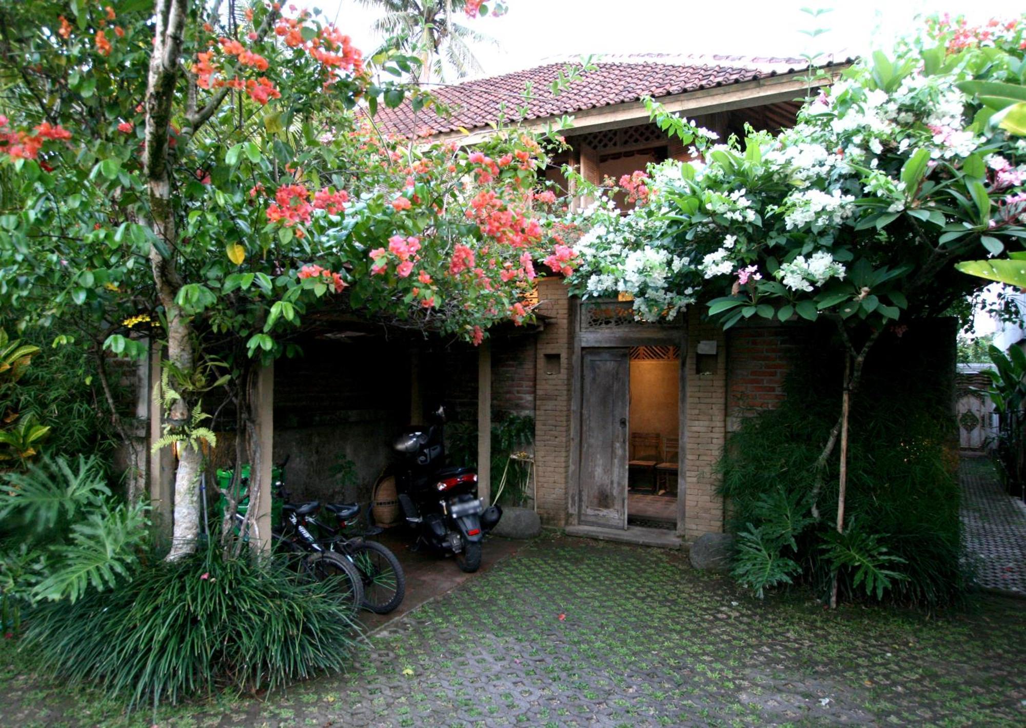 Artist Eco In Bali