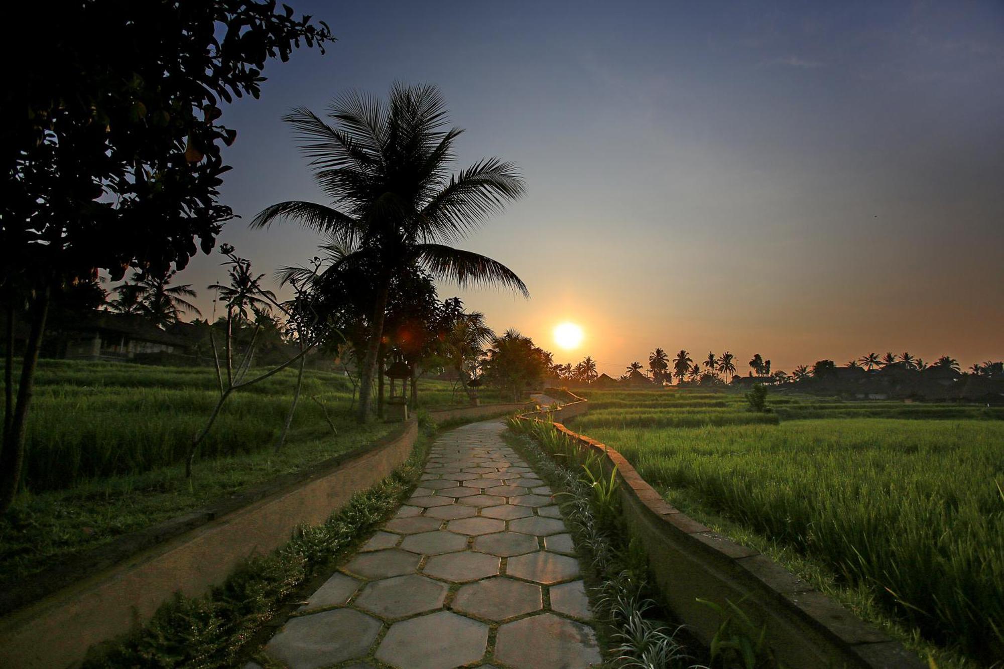 Wapa Di Ume - Chse Certified 4* Ubud (Bali)