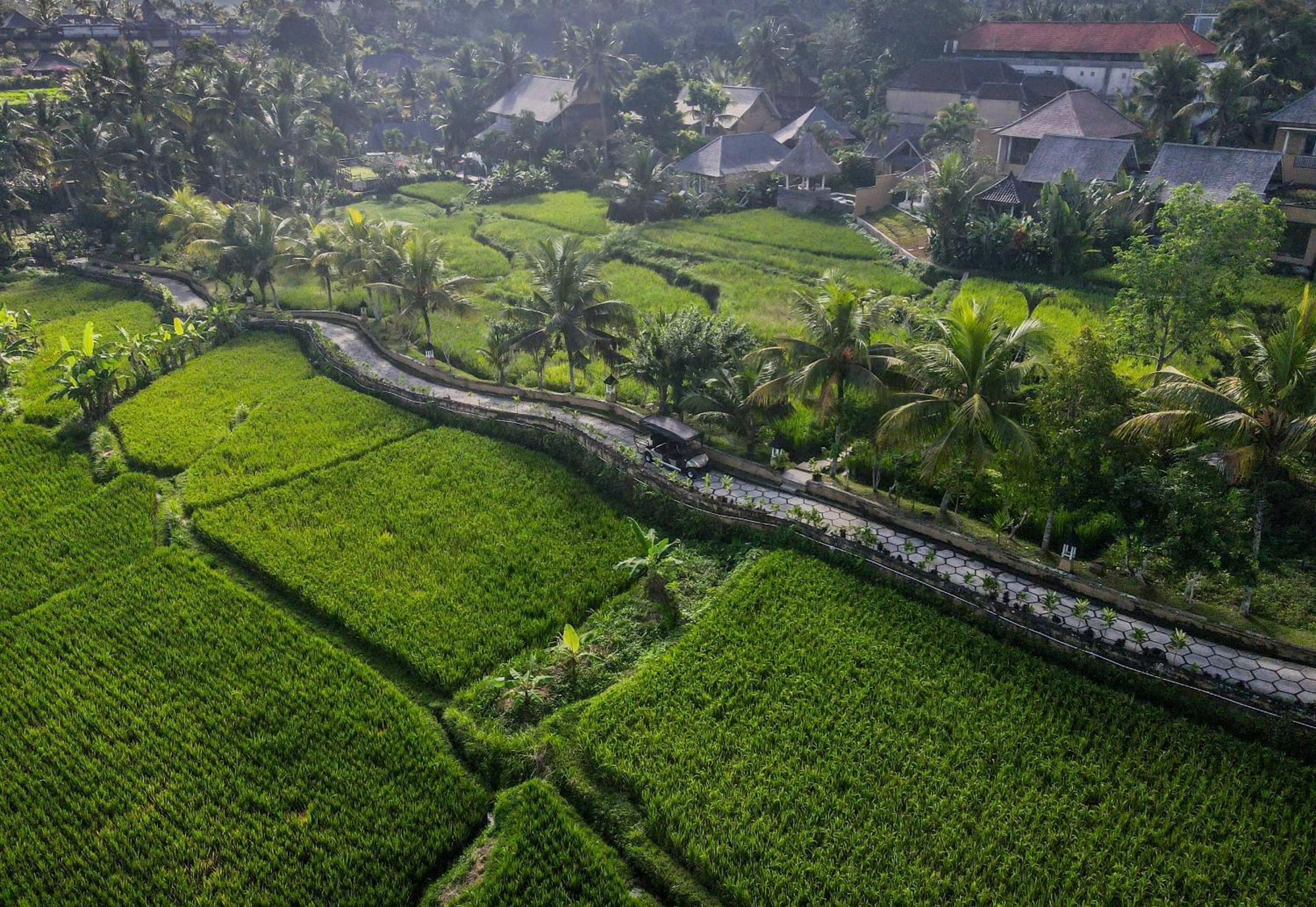 Wapa Di Ume - Chse Certified Ubud (Bali)