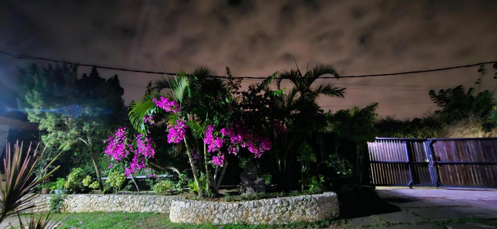 Anjing Guest house Nusa Dua (Bali)