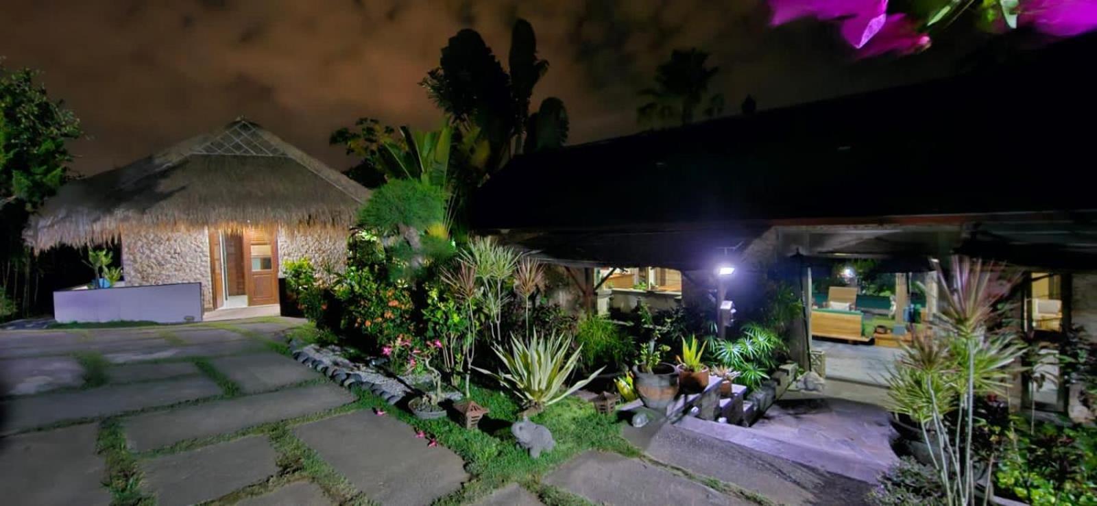 Anjing Nusa Dua (Bali)