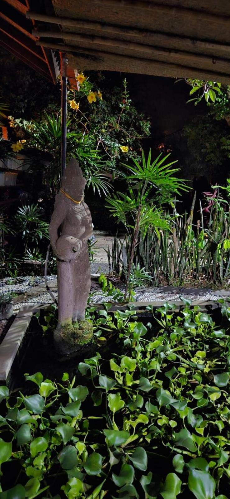 Anjing Nusa Dua (Bali)