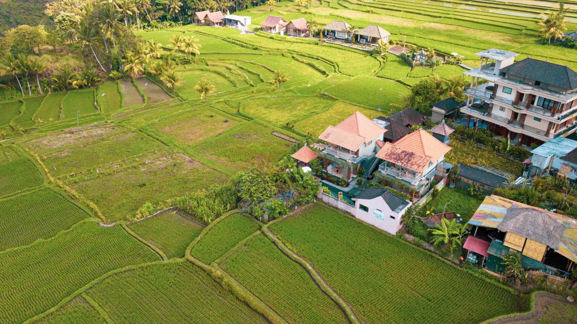 Raditya Ubud (Bali)