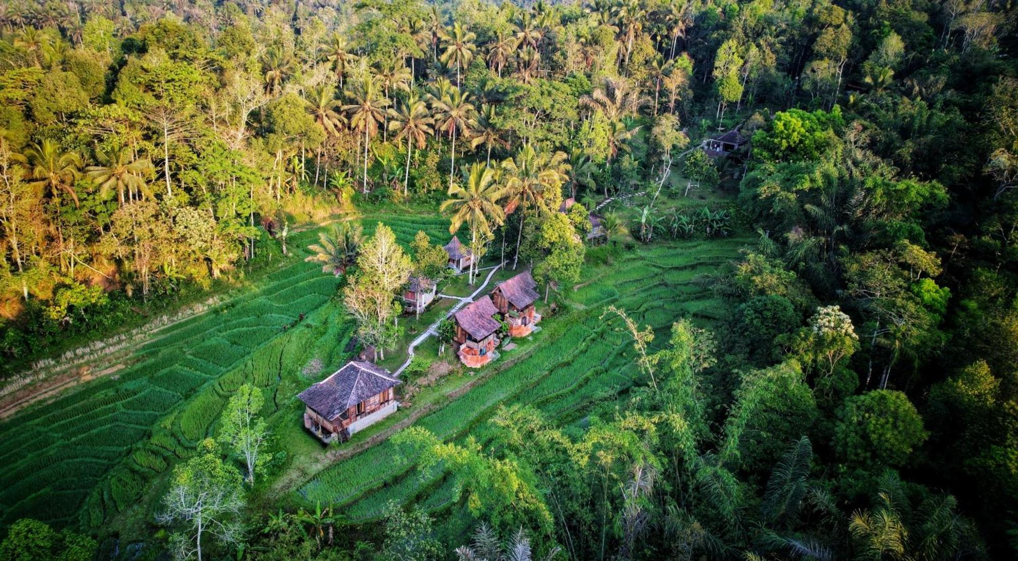 Oemah Tepi Sawah Lodge