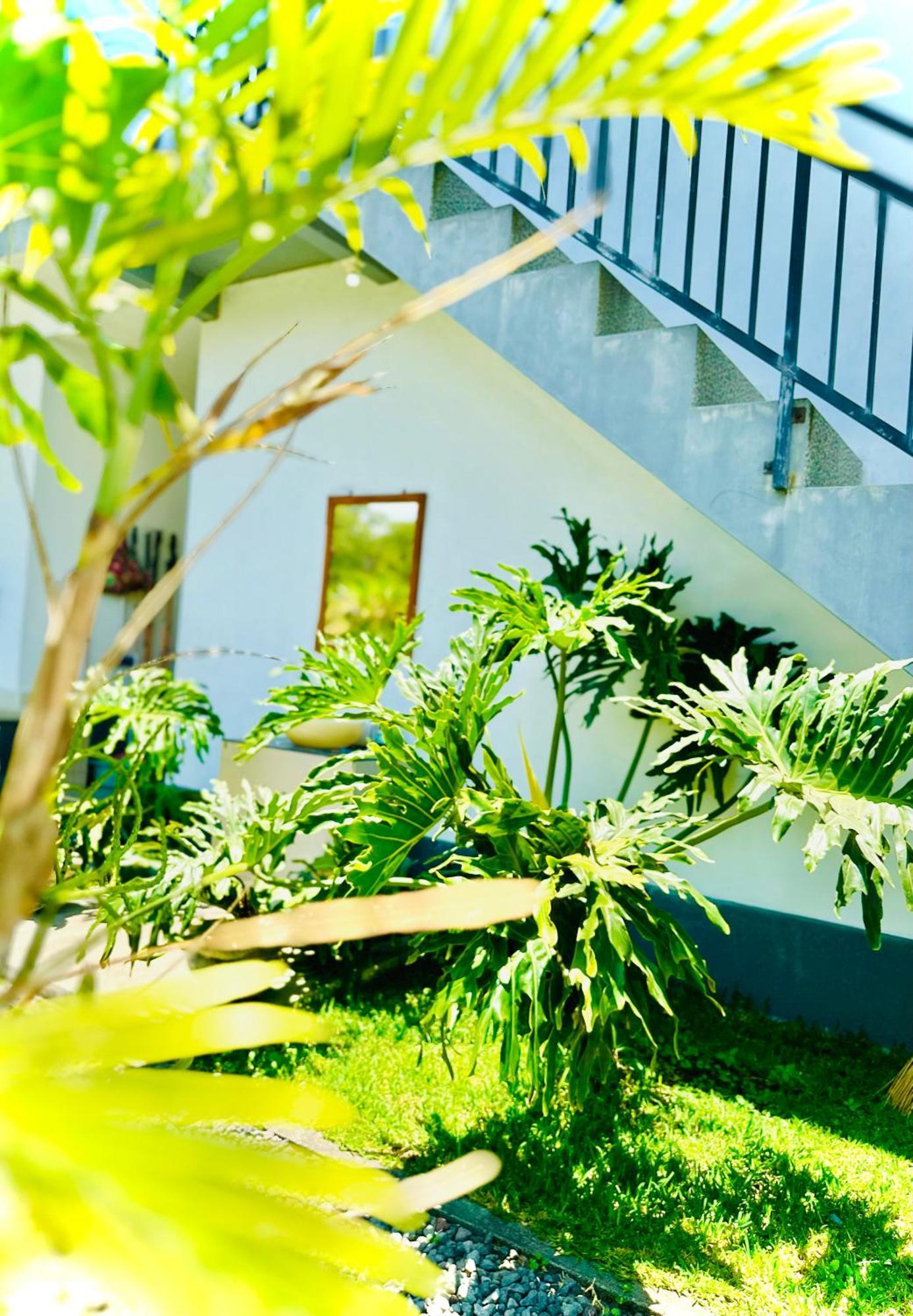 Guest house Batur Volcano