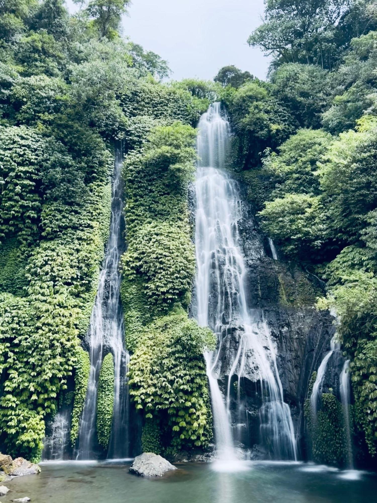 Penginapan Candra Munduk (Bali)