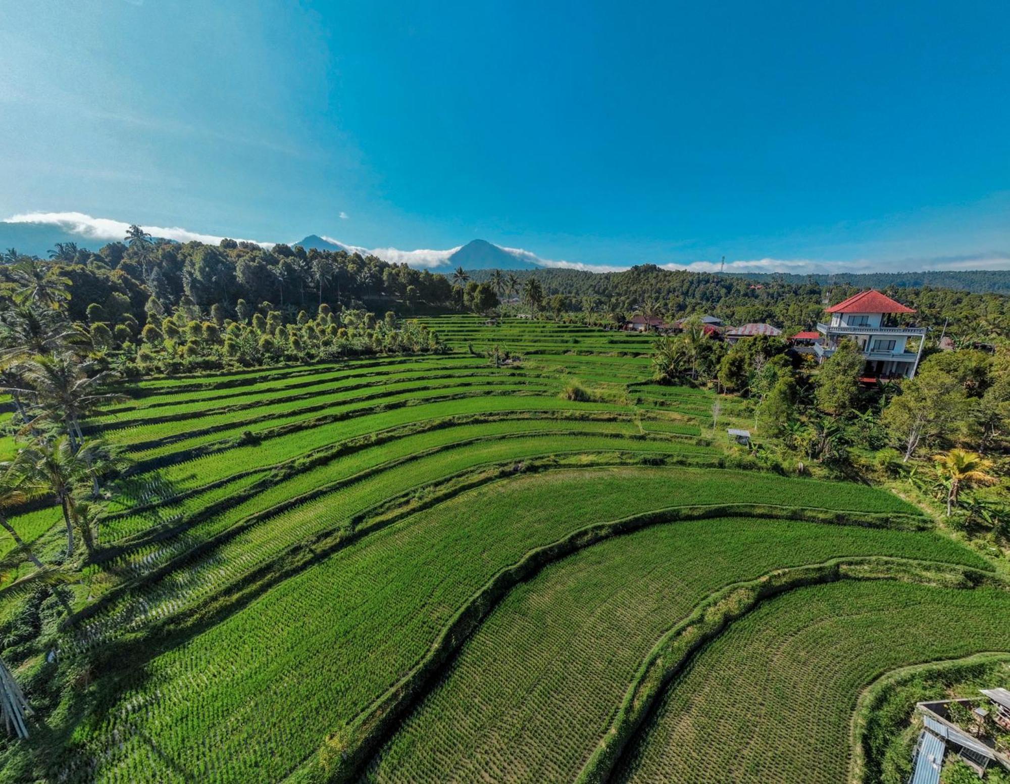 Penginapan Candra Munduk (Bali)