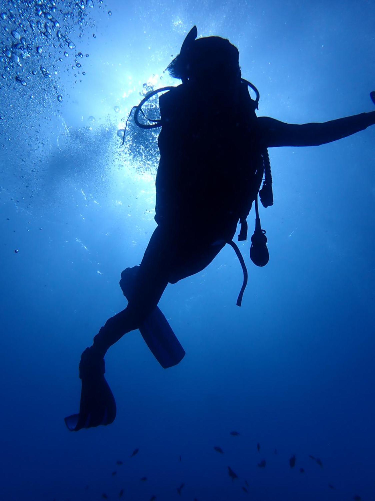Resort Palm Springs Bali Dive Tulamben (Bali)