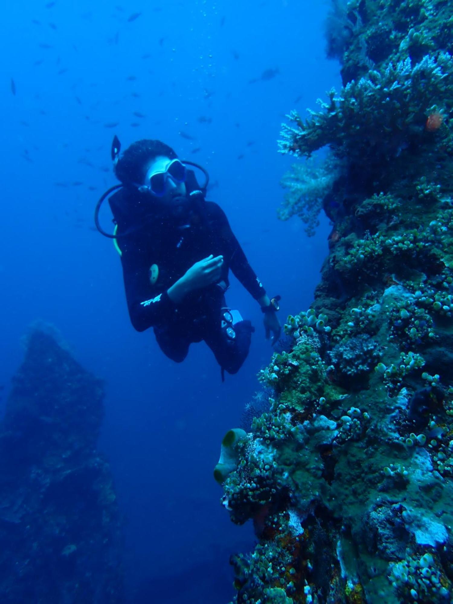 Resort Palm Springs Bali Dive 4*