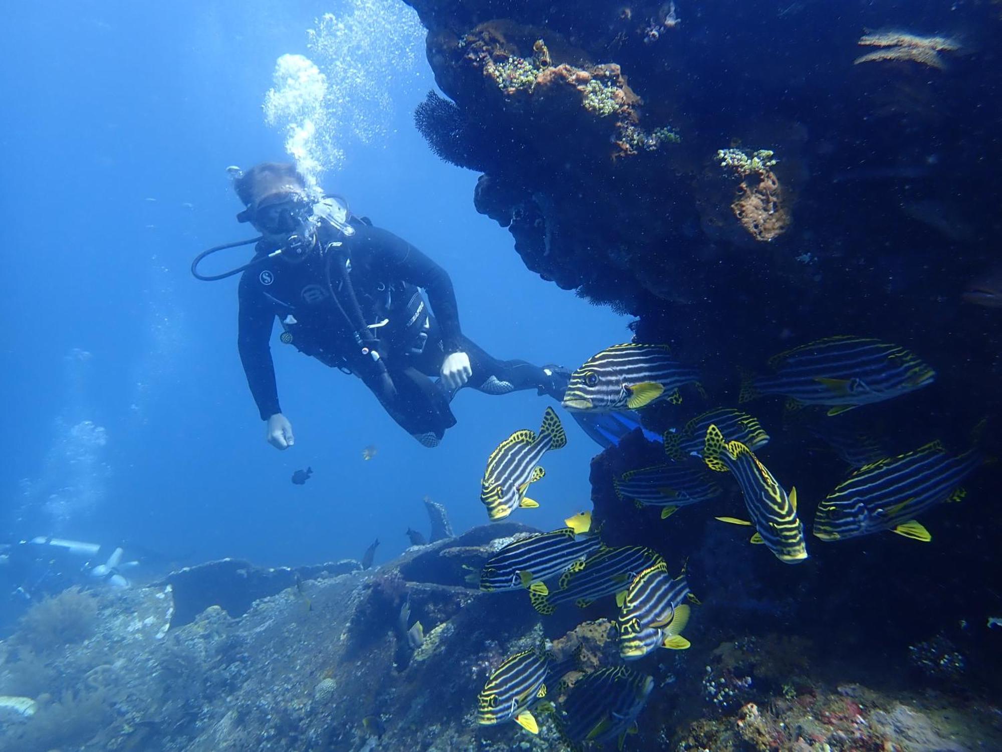 Palm Springs Bali Dive 4*
