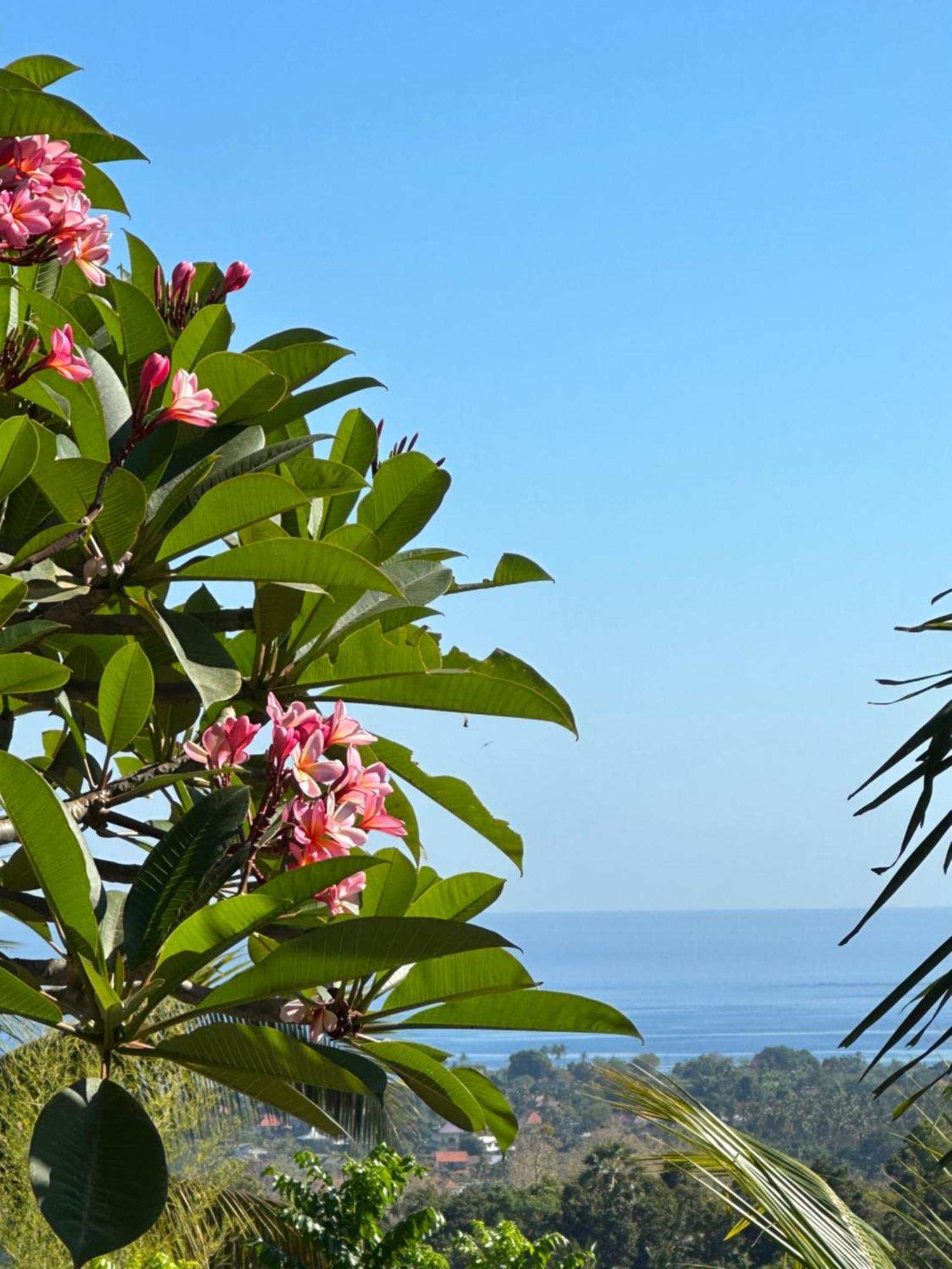 Guest house Sanshikirana House Lovina (Bali)