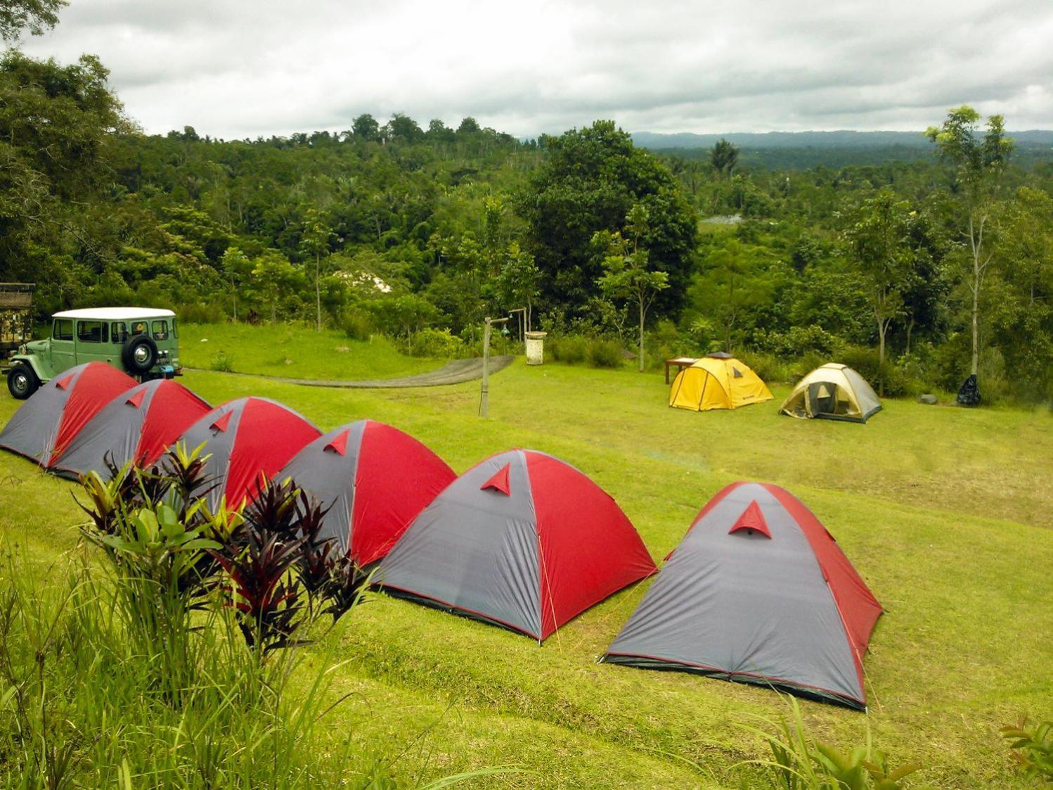 Bagus Agro Pelaga 3* Plaga