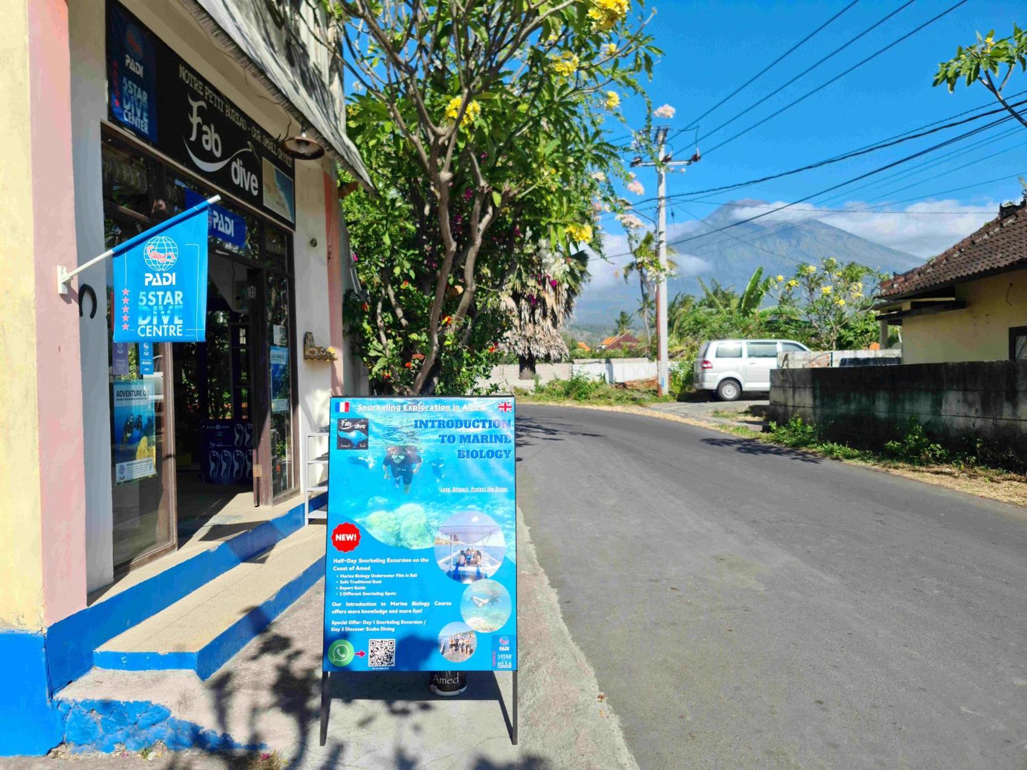 Bali Fab Dive Center Hostel *