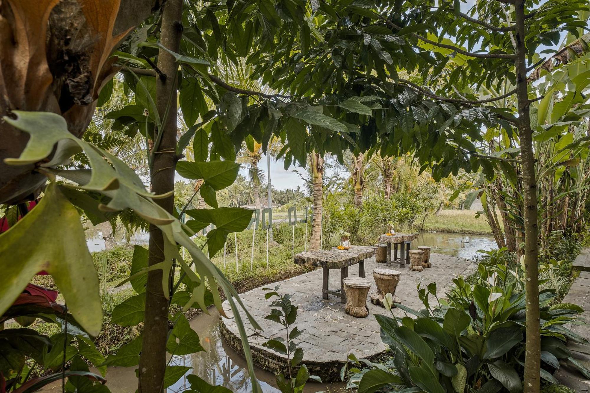 Joglo Organik Guest house