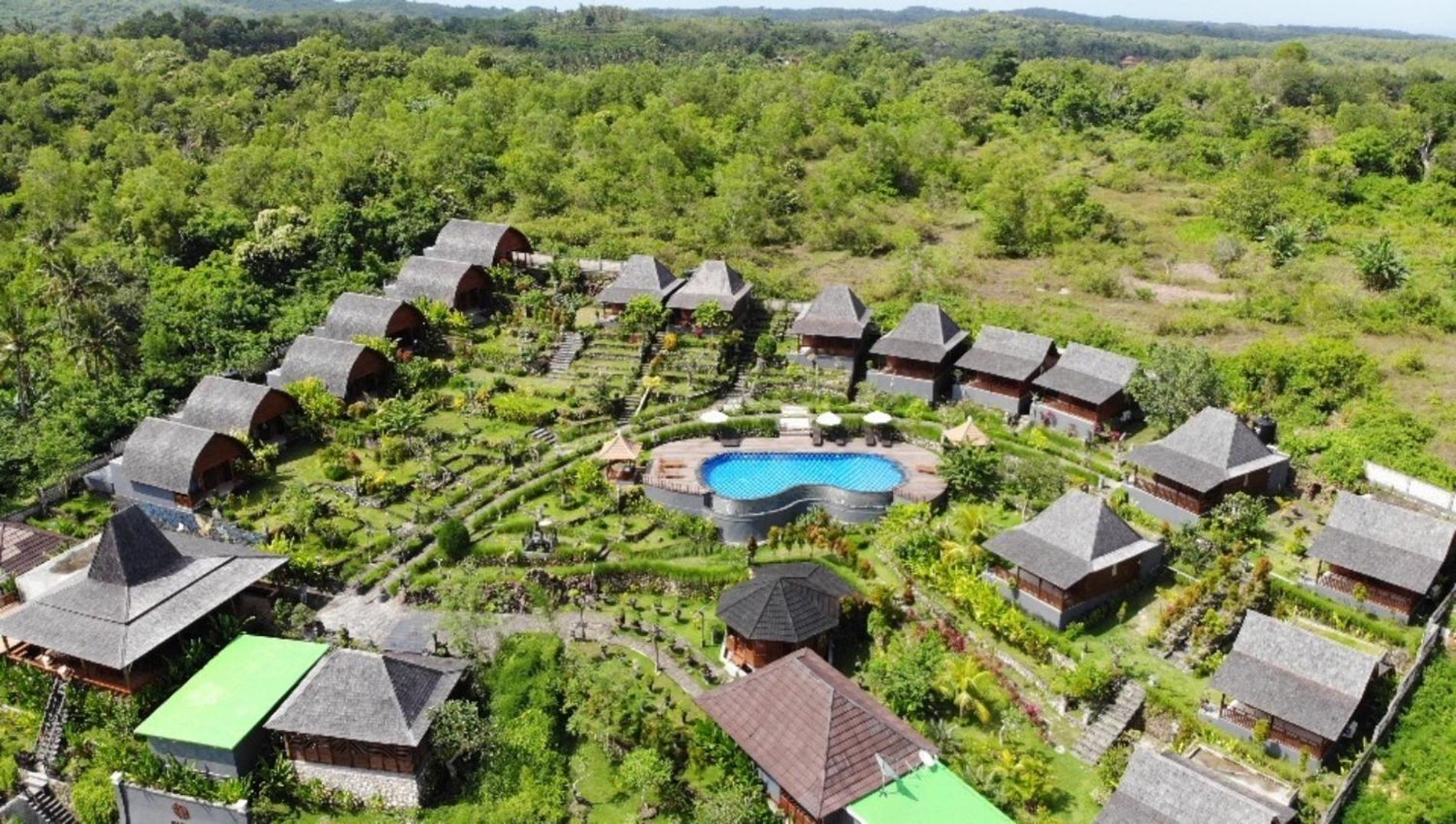 Resort The Kleep Jungle *