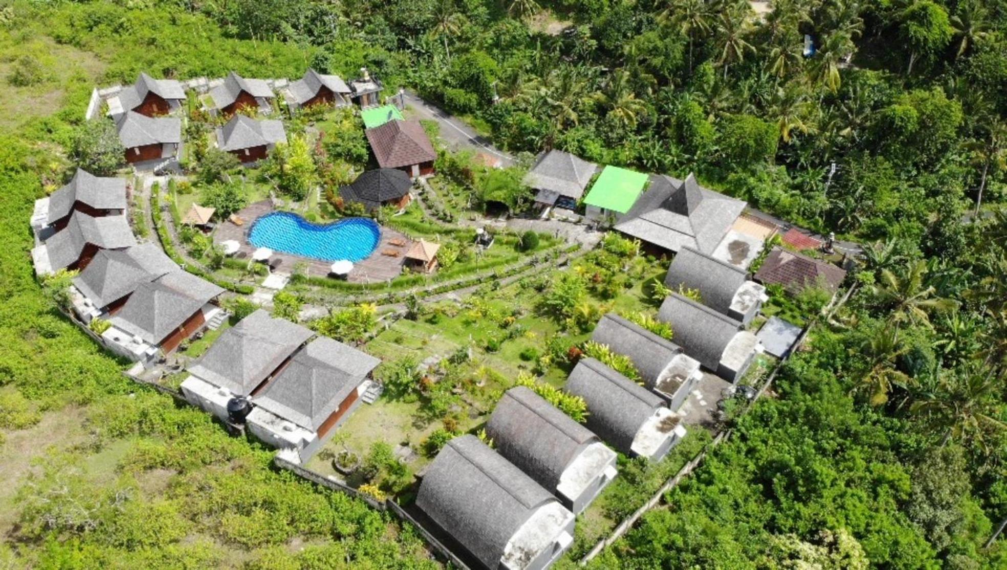 Resort The Kleep Jungle *