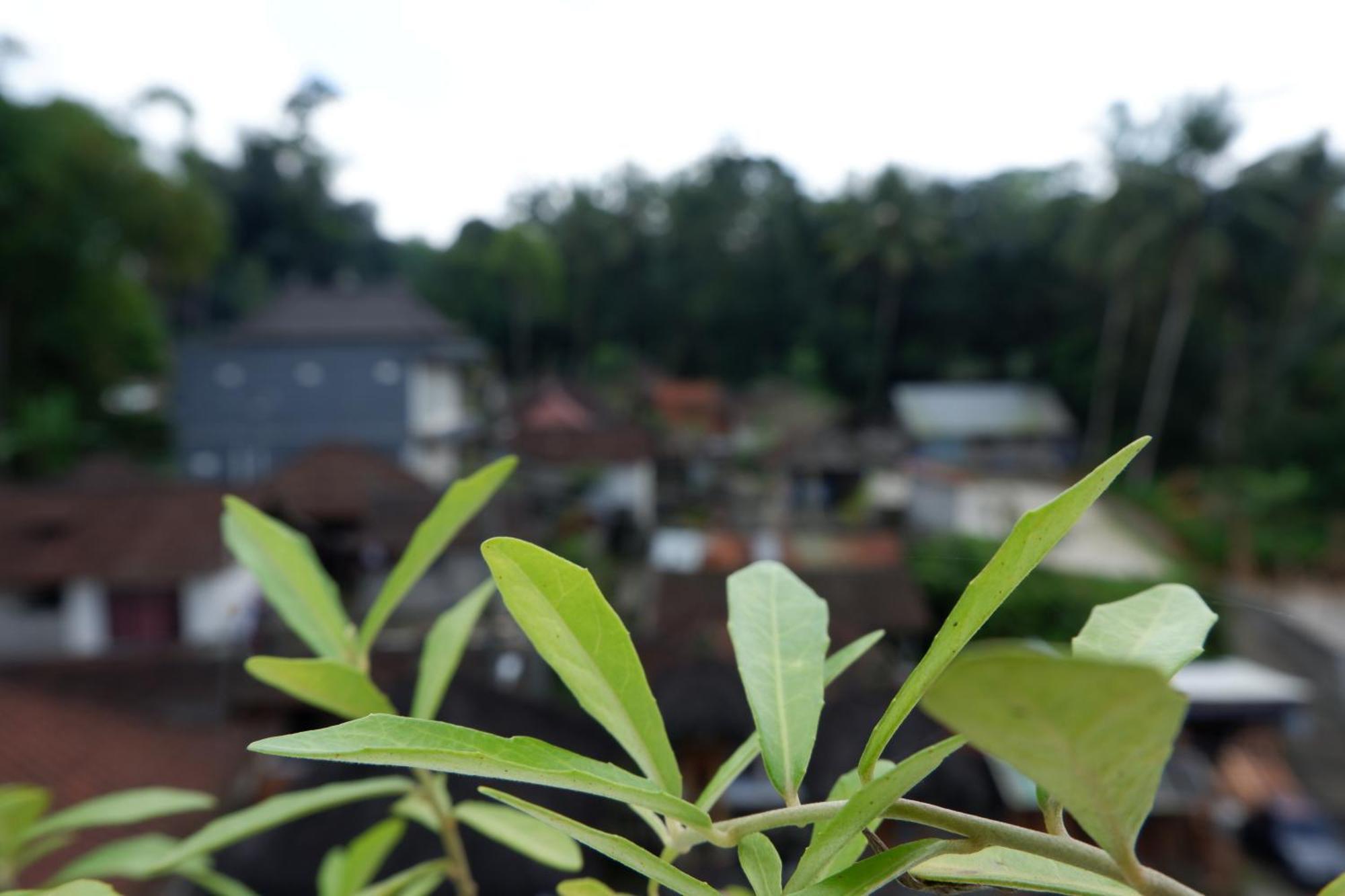 Ramaya View By Eps * Ubud (Bali)