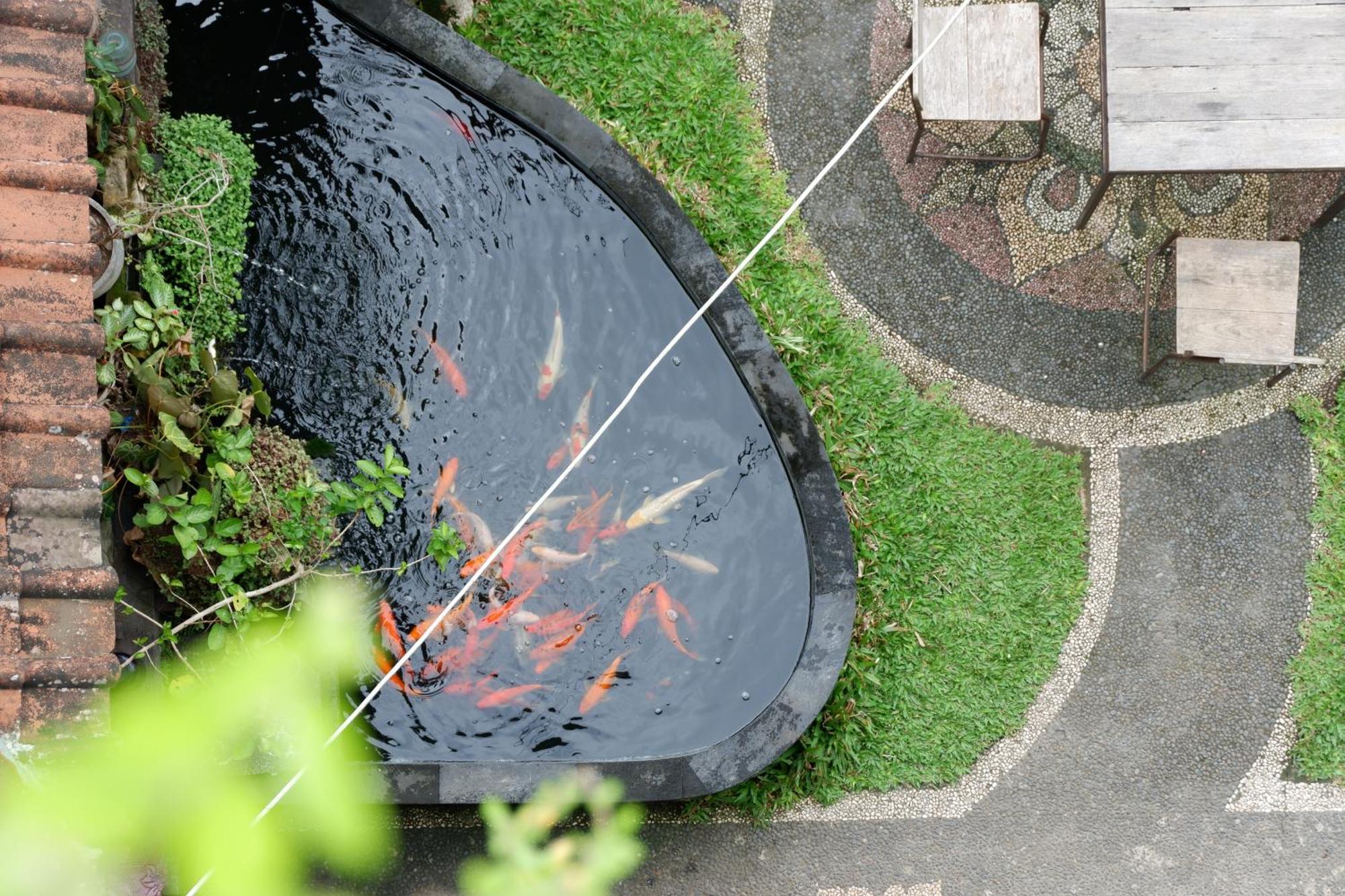 Ramaya View By Eps Ubud (Bali)